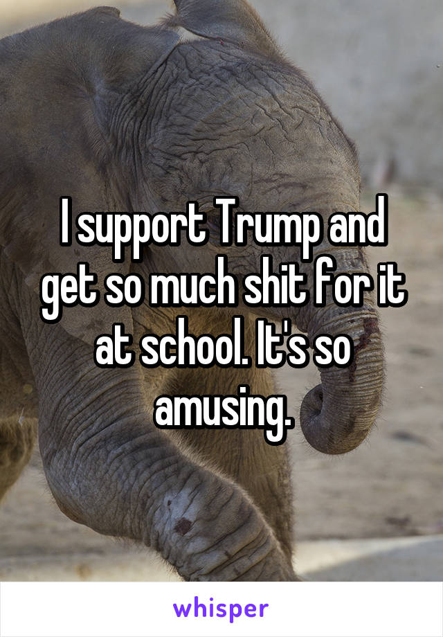 I support Trump and get so much shit for it at school. It's so amusing.