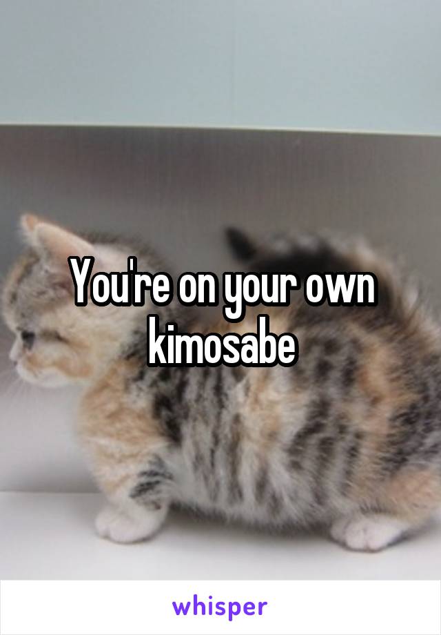 You're on your own kimosabe