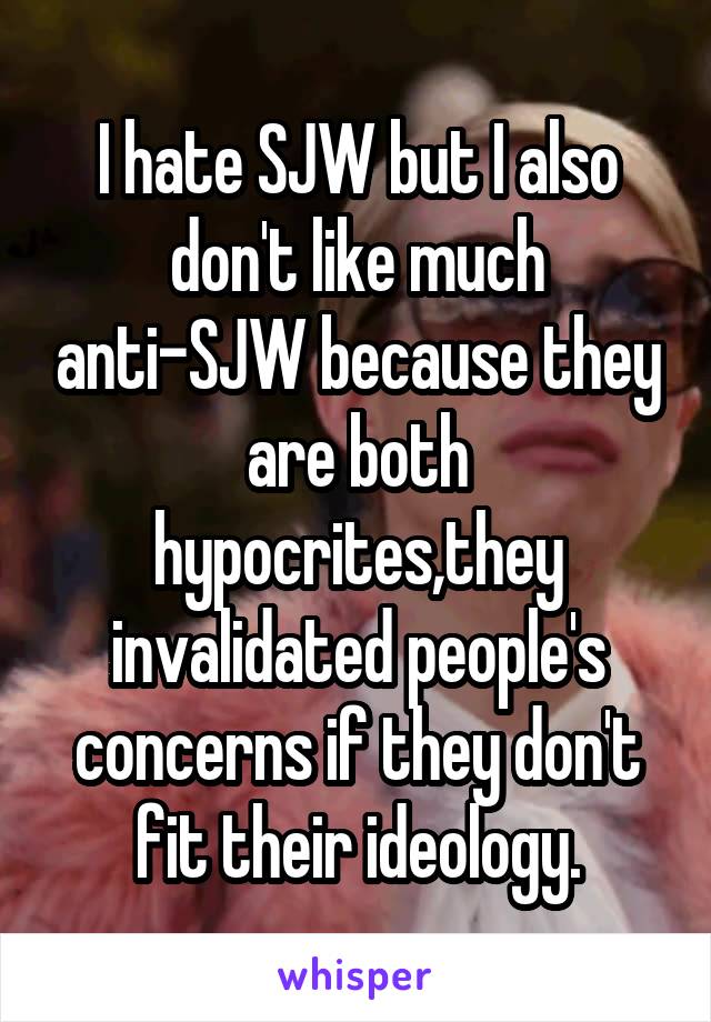 I hate SJW but I also don't like much anti-SJW because they are both hypocrites,they invalidated people's concerns if they don't fit their ideology.
