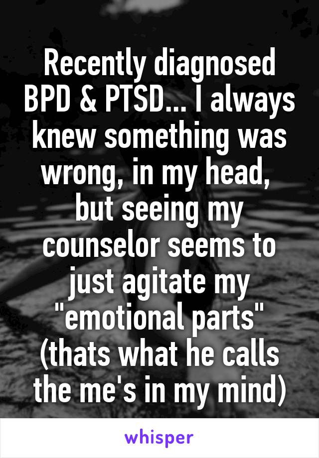 Recently diagnosed BPD & PTSD... I always knew something was wrong, in my head,  but seeing my counselor seems to just agitate my "emotional parts" (thats what he calls the me's in my mind)