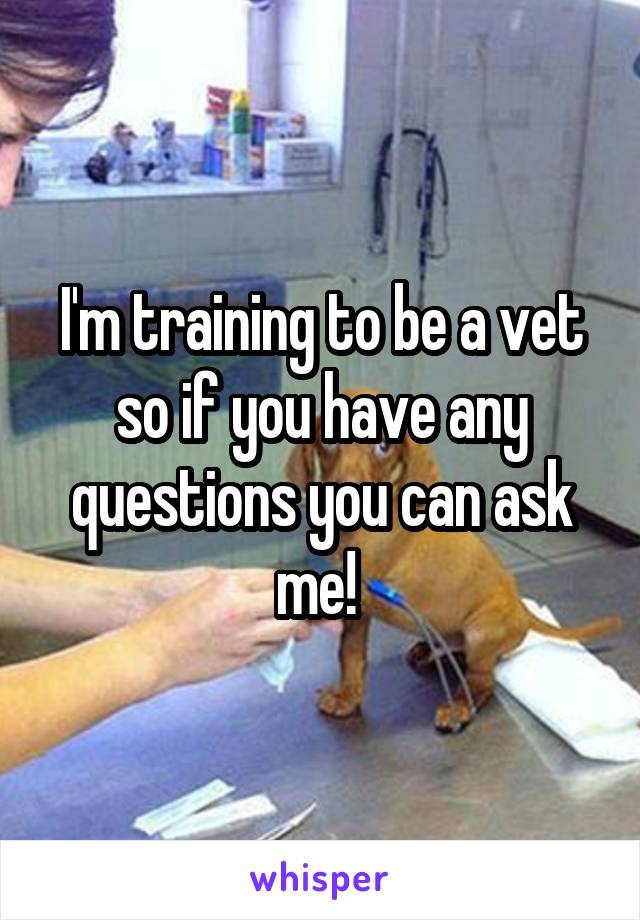 I'm training to be a vet so if you have any questions you can ask me! 