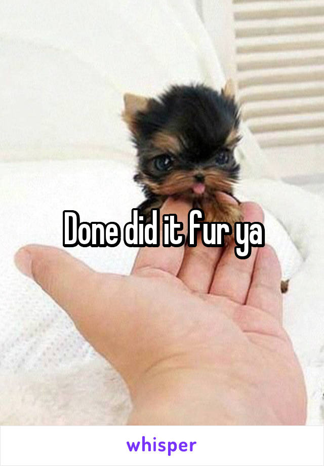 Done did it fur ya