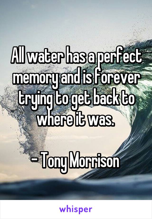 All water has a perfect memory and is forever trying to get back to where it was. 

- Tony Morrison 