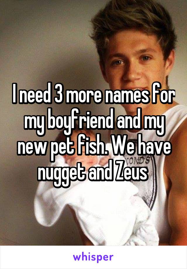 I need 3 more names for my boyfriend and my new pet fish. We have nugget and Zeus 