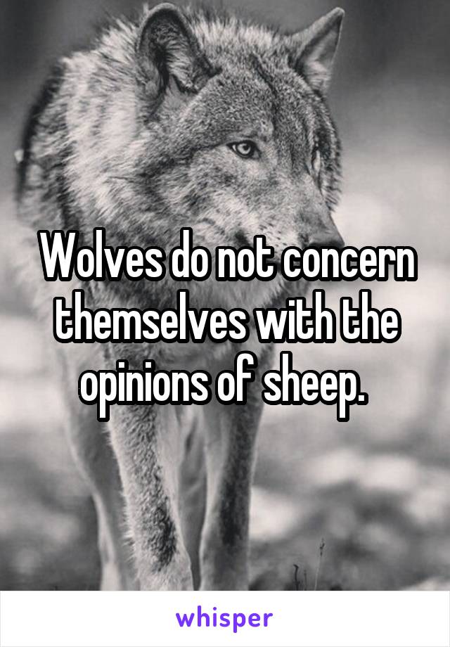 Wolves do not concern themselves with the opinions of sheep. 