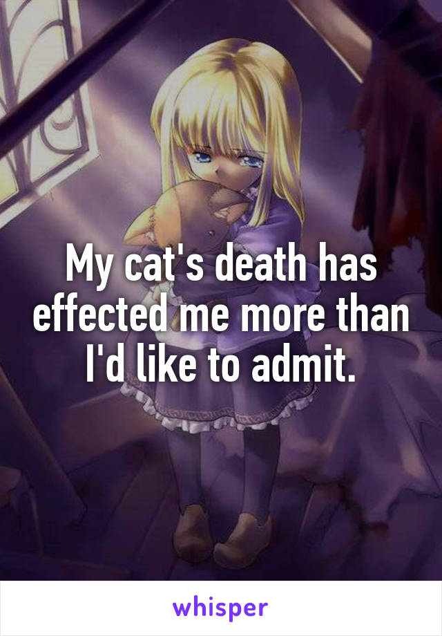 My cat's death has effected me more than I'd like to admit.
