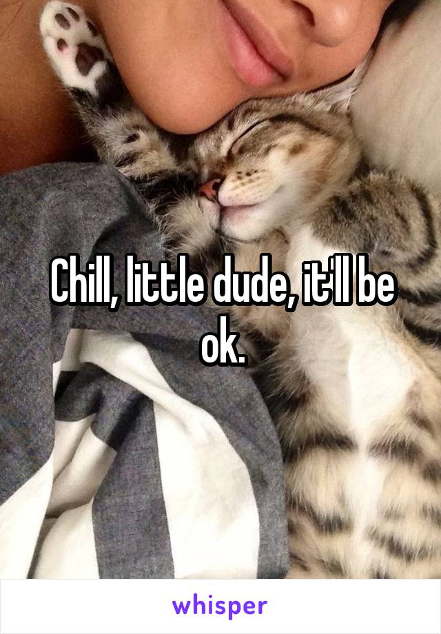 Chill, little dude, it'll be ok.