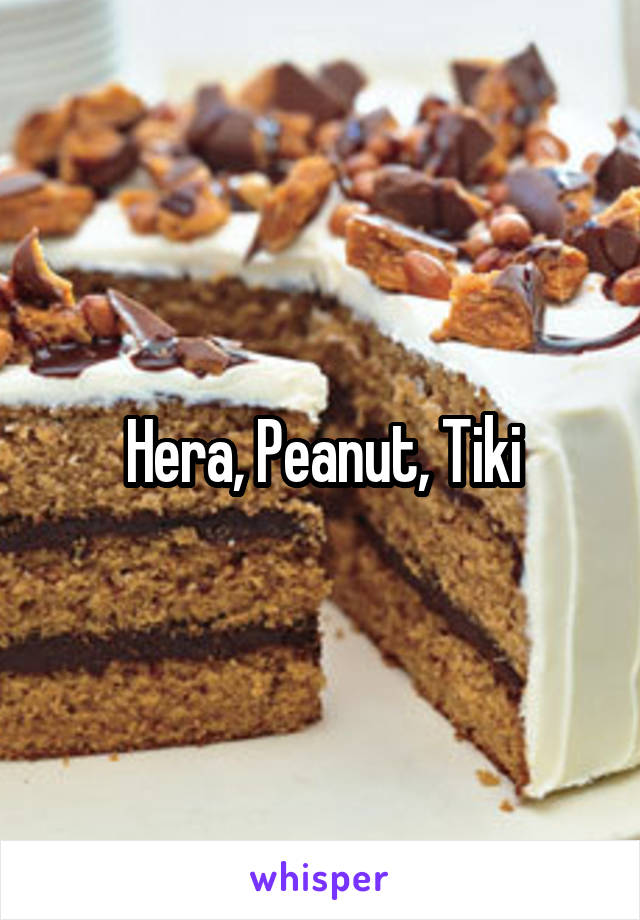 Hera, Peanut, Tiki