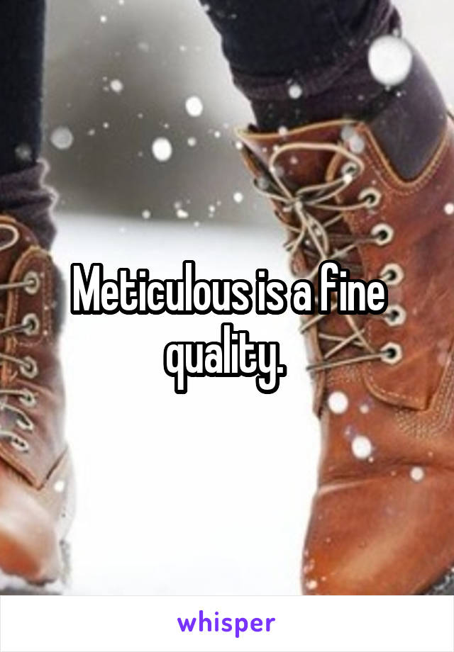 Meticulous is a fine quality. 