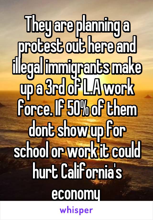 They are planning a protest out here and illegal immigrants make up a 3rd of L.A work force. If 50% of them dont show up for school or work it could hurt California's economy 