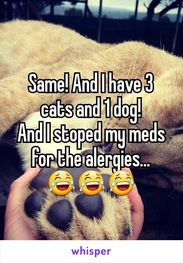 Same! And I have 3 cats and 1 dog!
And I stoped my meds for the alergies...
😂😂😂