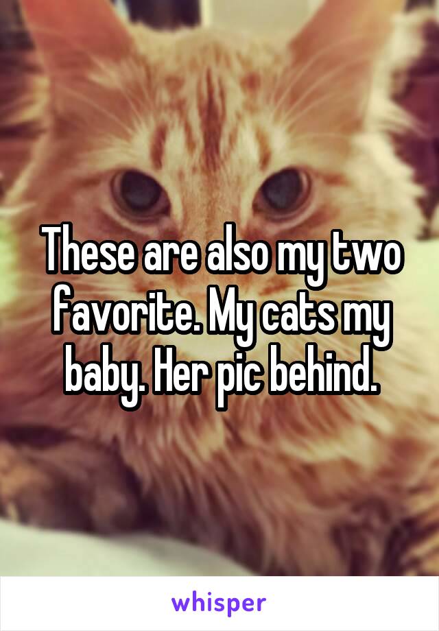 These are also my two favorite. My cats my baby. Her pic behind.
