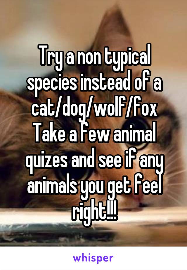 Try a non typical species instead of a cat/dog/wolf/fox
Take a few animal quizes and see if any animals you get feel right!!!