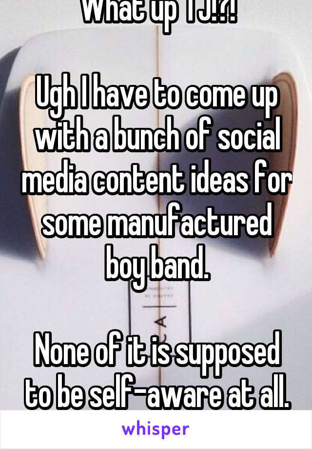 What up TJ!?!

Ugh I have to come up with a bunch of social media content ideas for some manufactured boy band.

None of it is supposed to be self-aware at all. :(
