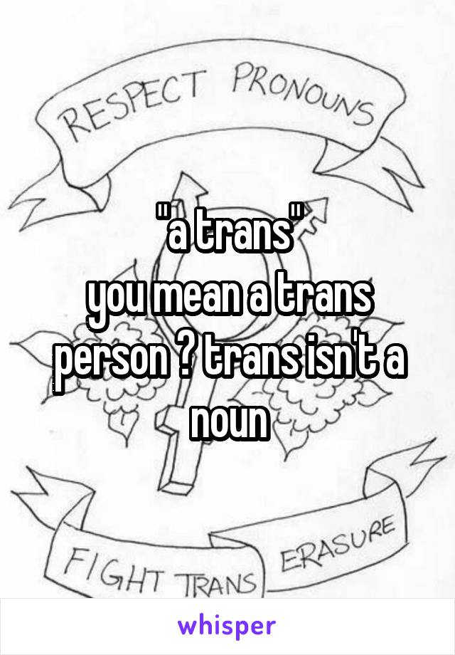 "a trans"
you mean a trans person ? trans isn't a noun