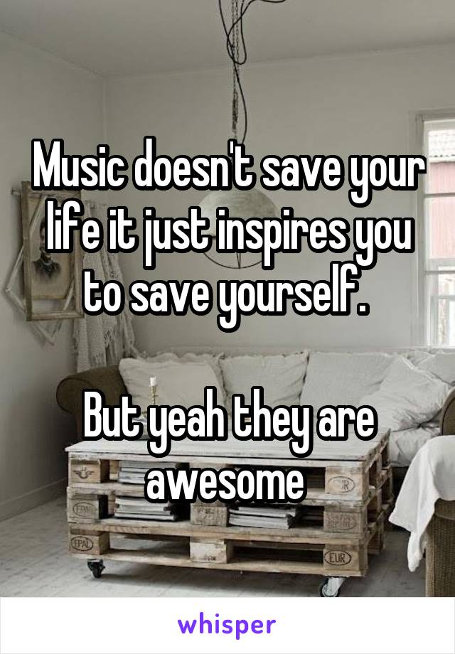 Music doesn't save your life it just inspires you to save yourself. 

But yeah they are awesome 