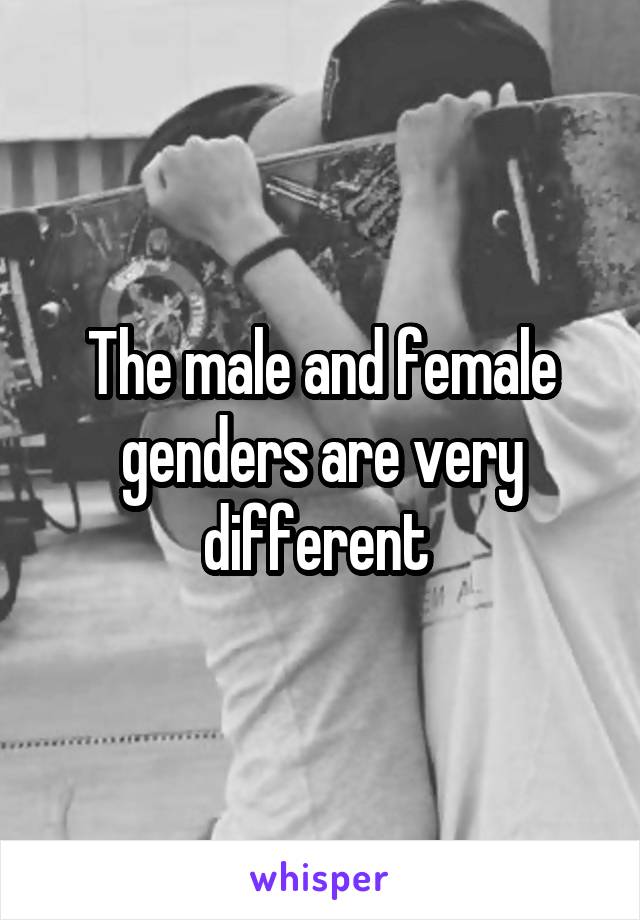 The male and female genders are very different 