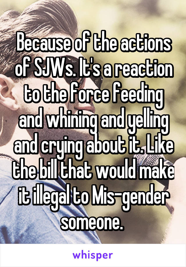 Because of the actions of SJWs. It's a reaction to the force feeding and whining and yelling and crying about it. Like the bill that would make it illegal to Mis-gender someone. 