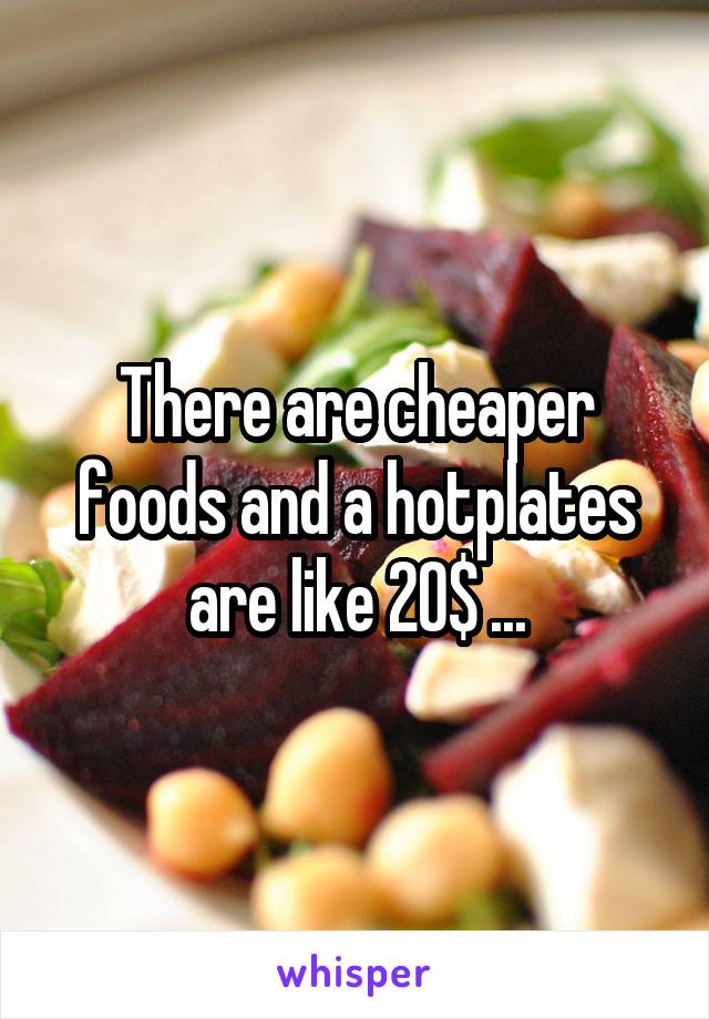 There are cheaper foods and a hotplates are like 20$ ...