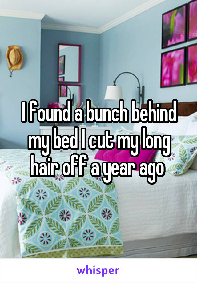 I found a bunch behind my bed I cut my long hair off a year ago 