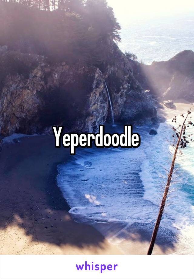 Yeperdoodle 