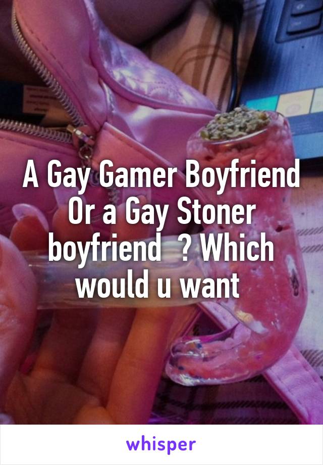 A Gay Gamer Boyfriend Or a Gay Stoner boyfriend  ? Which would u want 