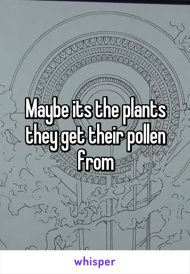 Maybe its the plants they get their pollen from