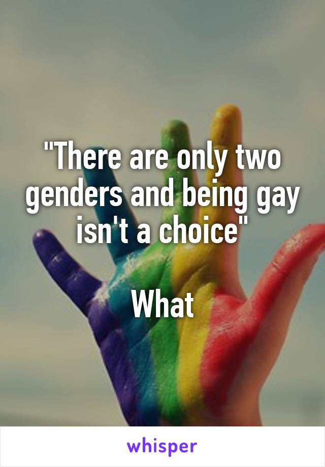 "There are only two genders and being gay isn't a choice"

What