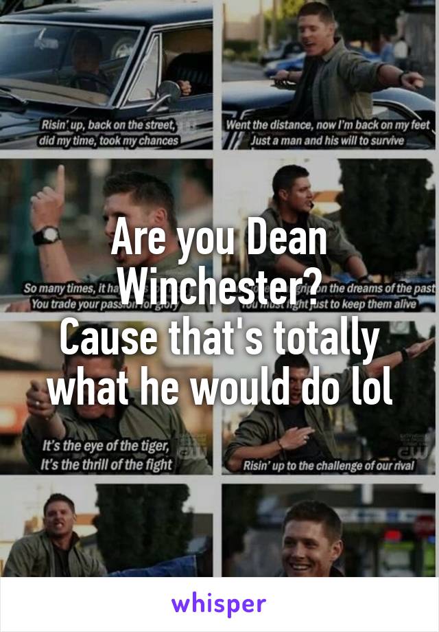 Are you Dean Winchester?
Cause that's totally what he would do lol