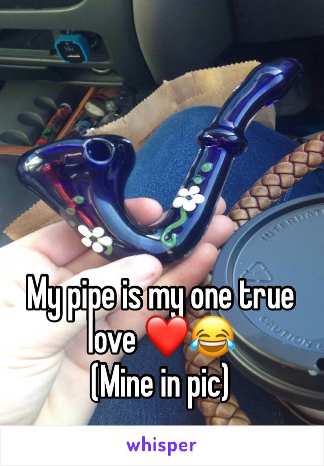 My pipe is my one true love ❤😂 
(Mine in pic)