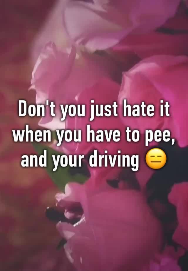 don-t-you-just-hate-it-when-you-have-to-pee-and-your-driving