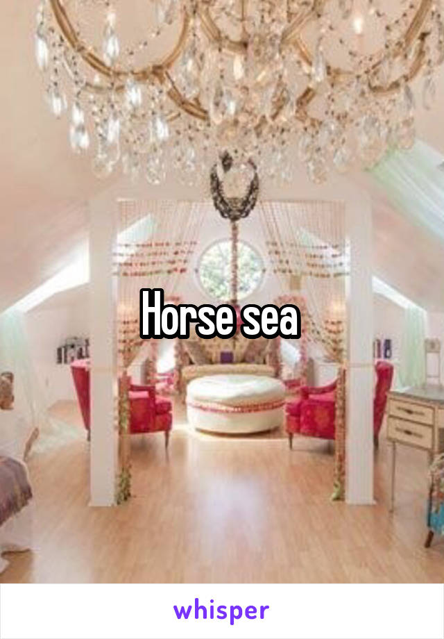 Horse sea 