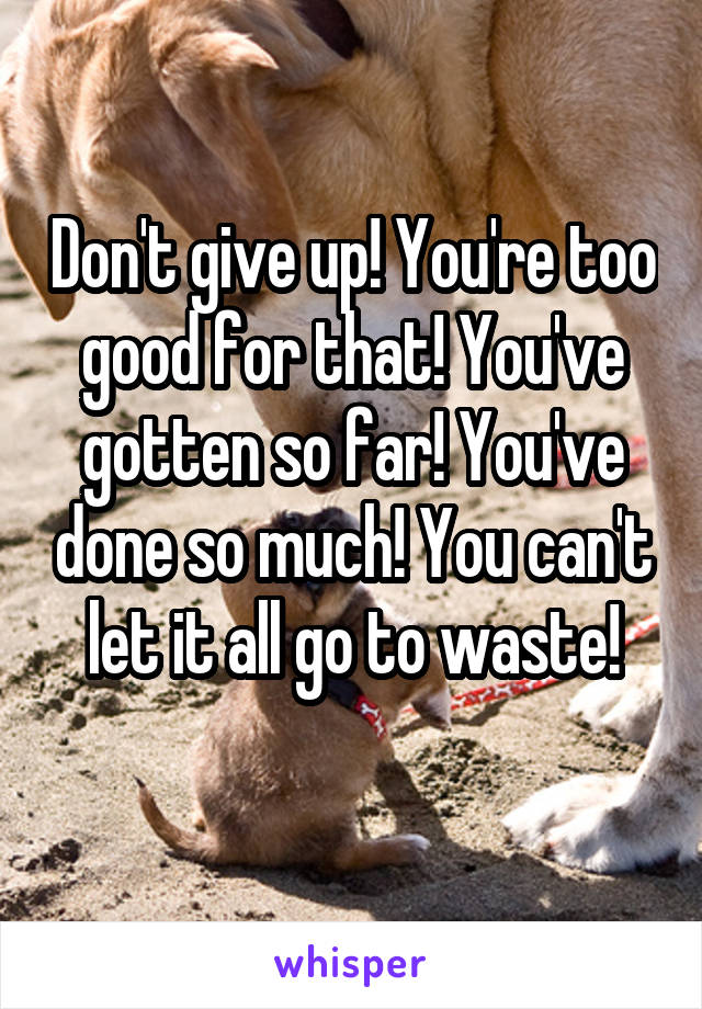 Don't give up! You're too good for that! You've gotten so far! You've done so much! You can't let it all go to waste!

