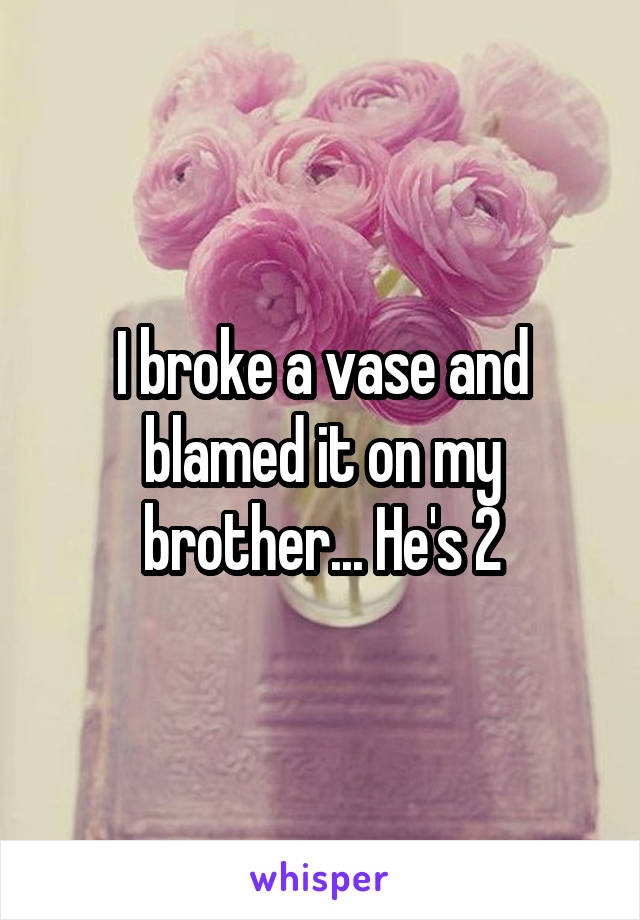 I broke a vase and blamed it on my brother... He's 2