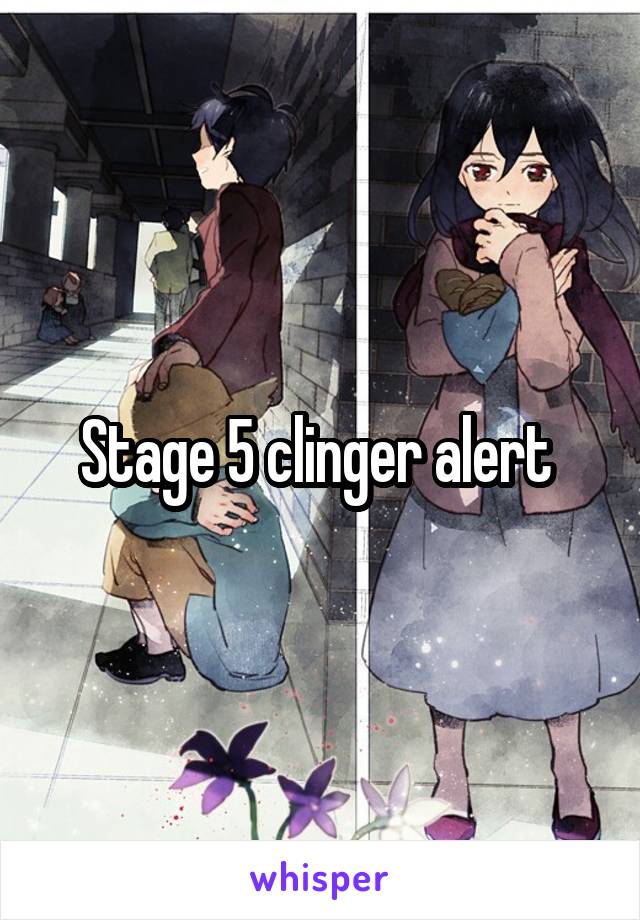 Stage 5 clinger alert 
