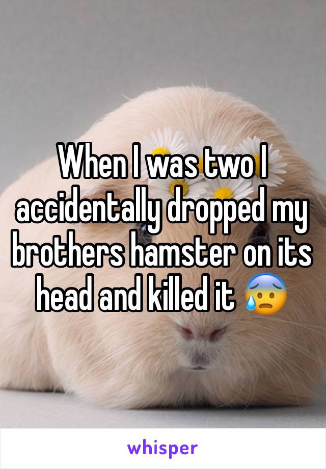 When I was two I accidentally dropped my brothers hamster on its head and killed it 😰