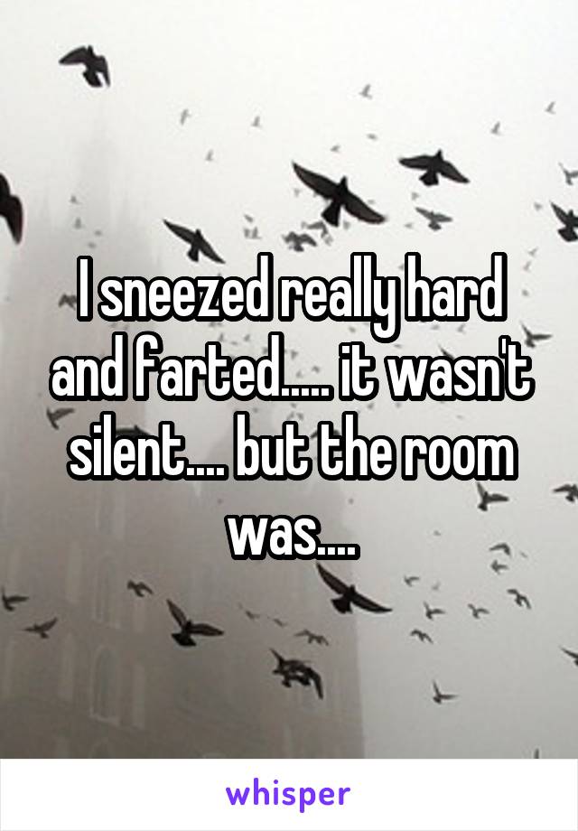 I sneezed really hard and farted..... it wasn't silent.... but the room was....