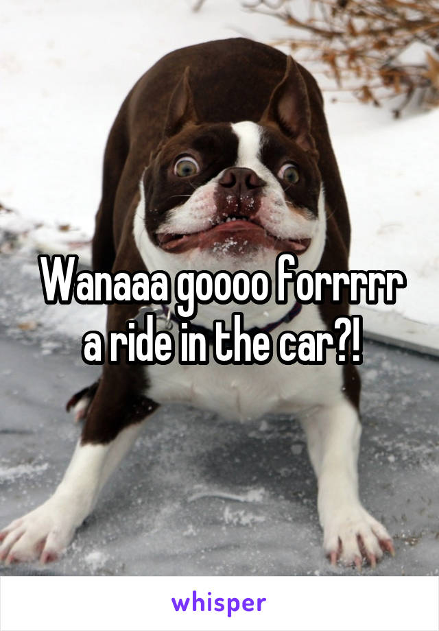 Wanaaa goooo forrrrr a ride in the car?!