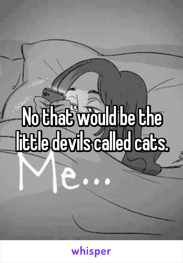 No that would be the little devils called cats.