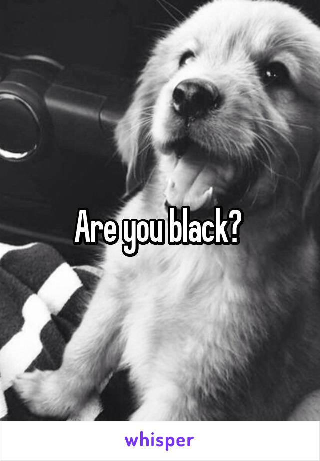 Are you black? 