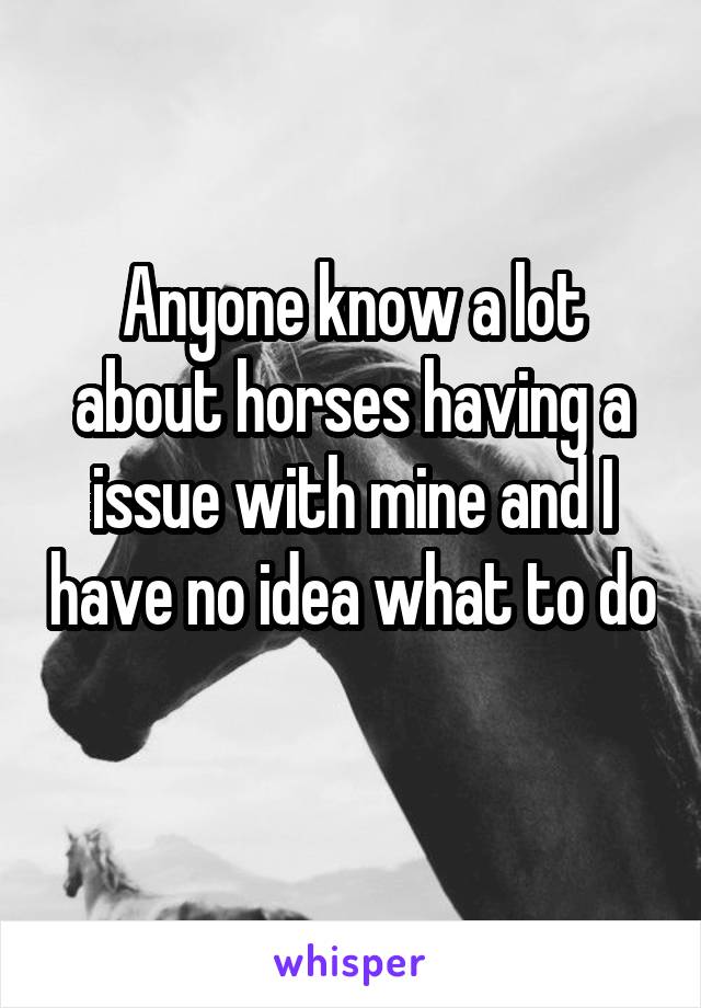 Anyone know a lot about horses having a issue with mine and I have no idea what to do 