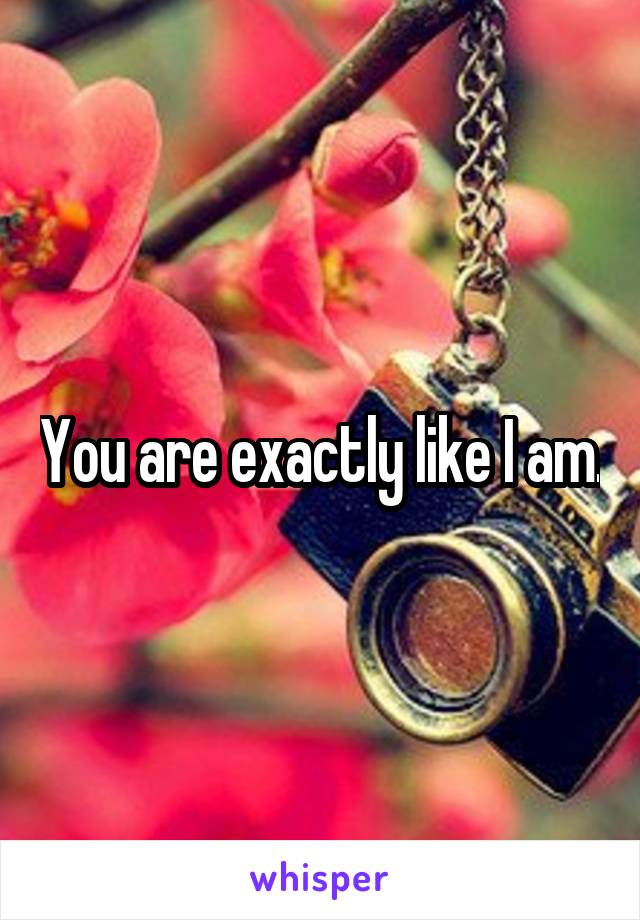 You are exactly like I am.