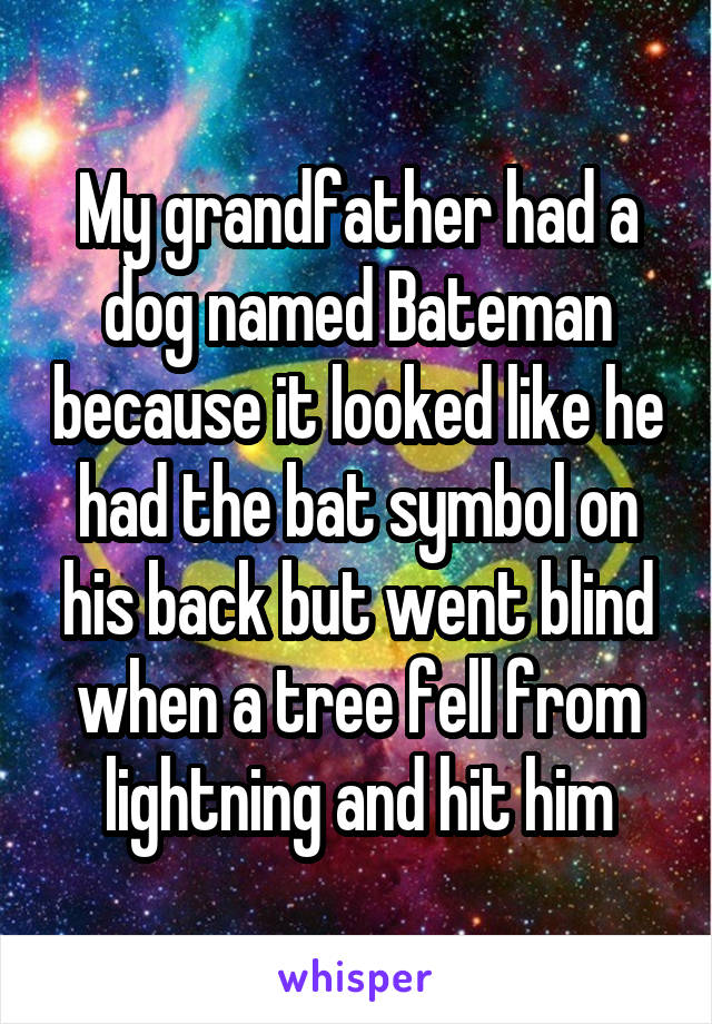 My grandfather had a dog named Bateman because it looked like he had the bat symbol on his back but went blind when a tree fell from lightning and hit him