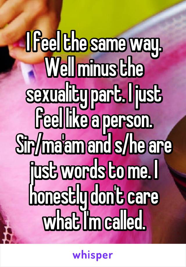 I feel the same way. Well minus the sexuality part. I just feel like a person. Sir/ma'am and s/he are just words to me. I honestly don't care what I'm called.