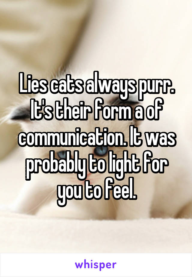 Lies cats always purr. It's their form a of communication. It was probably to light for you to feel.