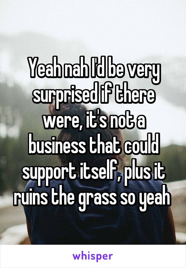 Yeah nah I'd be very surprised if there were, it's not a business that could support itself, plus it ruins the grass so yeah 