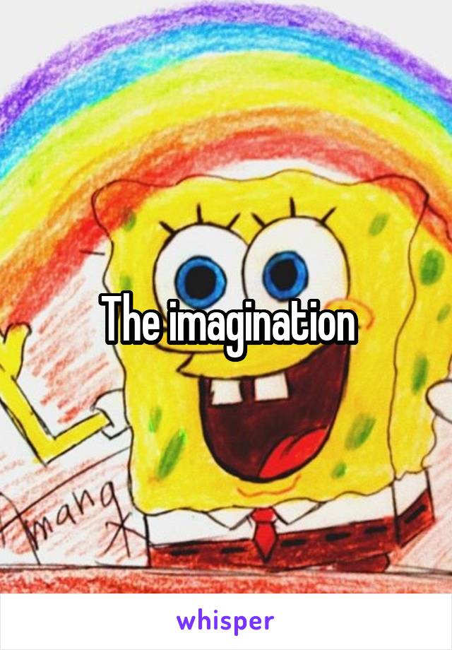 The imagination