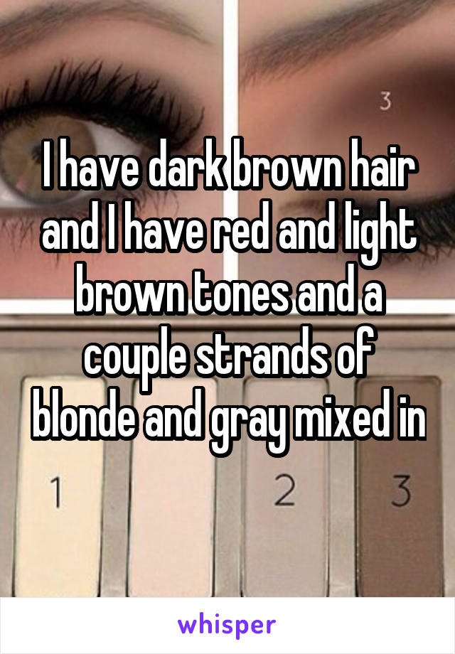I have dark brown hair and I have red and light brown tones and a couple strands of blonde and gray mixed in 