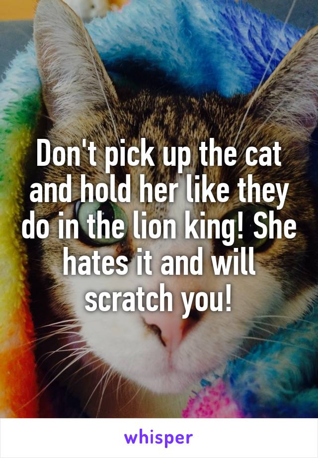 Don't pick up the cat and hold her like they do in the lion king! She hates it and will scratch you!