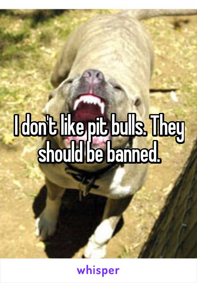 I don't like pit bulls. They should be banned.